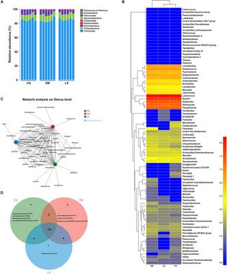 Probiotic Lactobacillus rhamnosus GG Induces Alterations in Ileal Microbiota With Associated CD3-CD19-T-bet+IFNγ+/- Cell Subset Homeostasis in Pigs Challenged With Salmonella enterica Serovar 4,[5],12:i:-